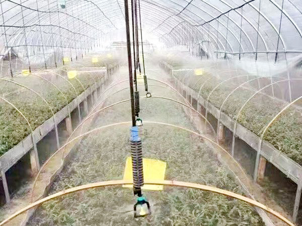 倒掛微噴工程案例